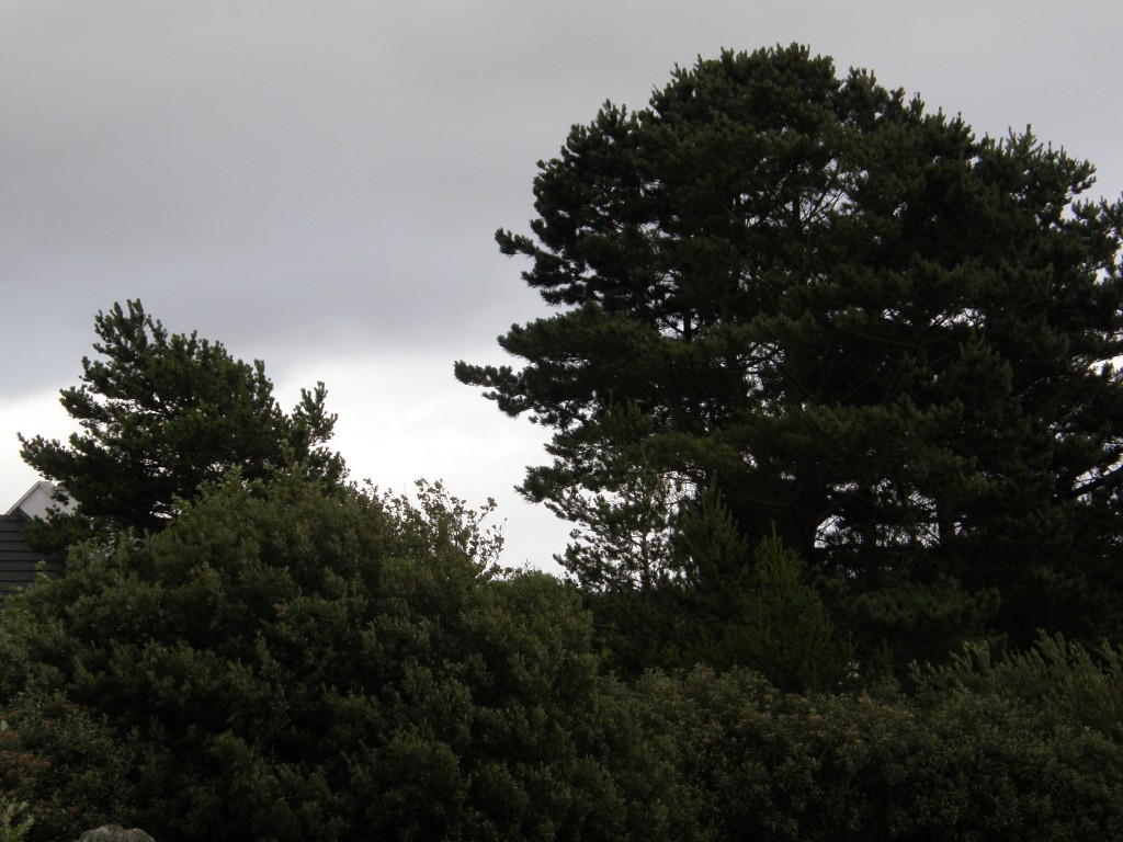 The Windblown Skies of An Cheathrú Rua