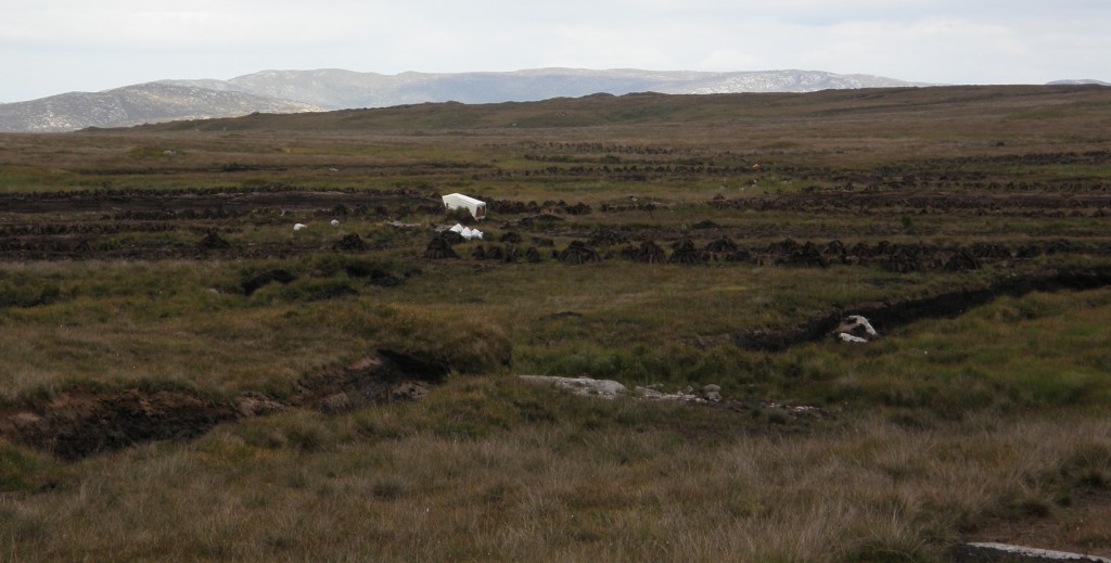 The Bog, Showing Family Turf Cutting or "Turbary" Areas