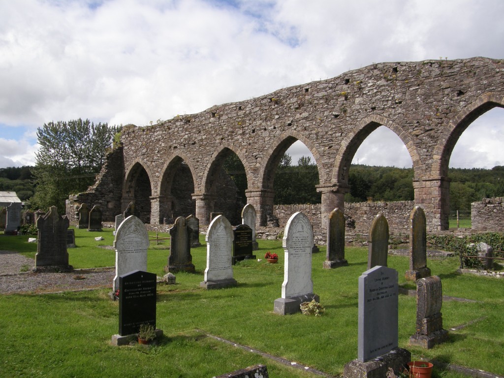 Nave Arches at Baltinglass, Note the Alternating Cylindrical & Square Piers