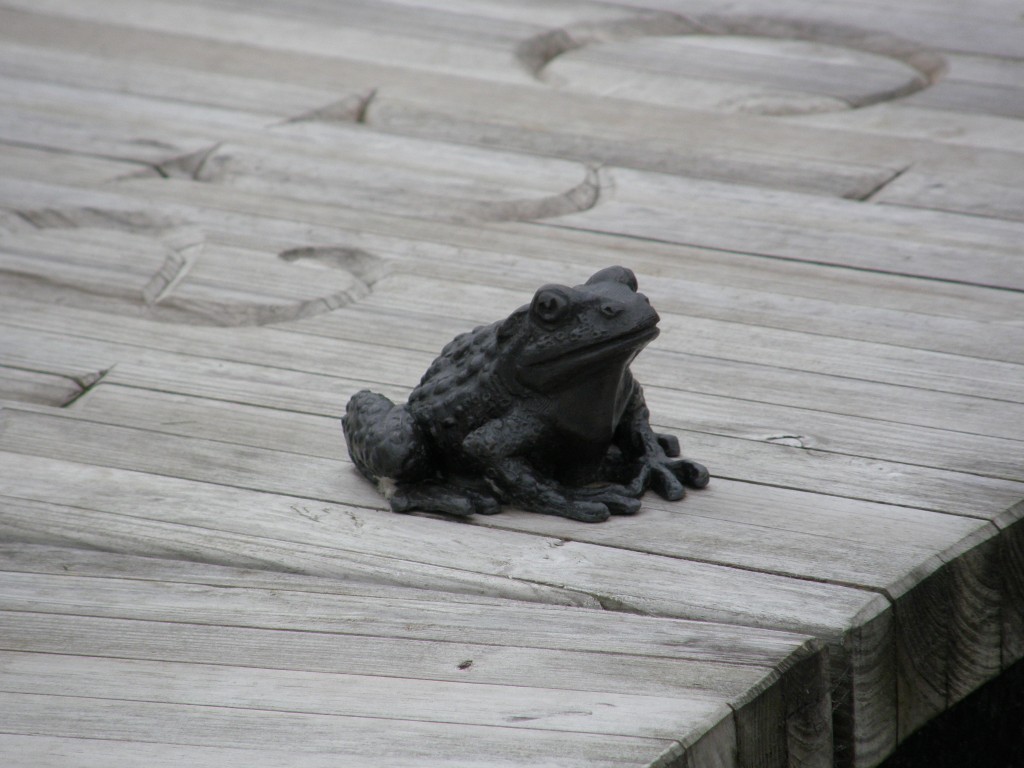 Frog Sculpture, Rooftop Garden, New Lanark, Scotland