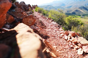 Rocky Mountain Trail