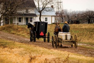 Amish Buggy and Cart in Ohio