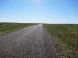 Wide Open Desert Horizon