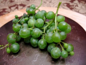 Sour Grapes