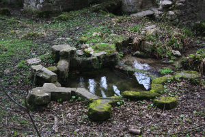 St Mary's Well Cefn Meiriadog Wales