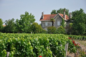 House and Vineyard