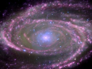 Spiral Galaxy