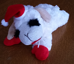 lambchop1